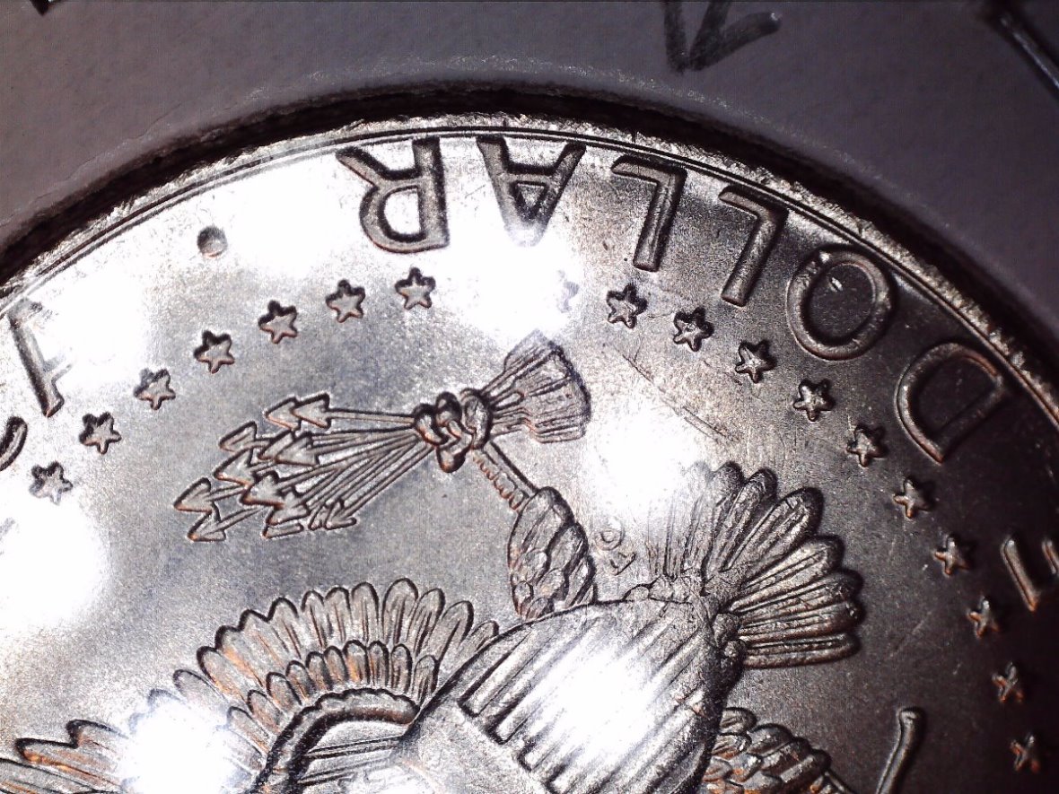 2019-D-Half-Dollar-DDR?