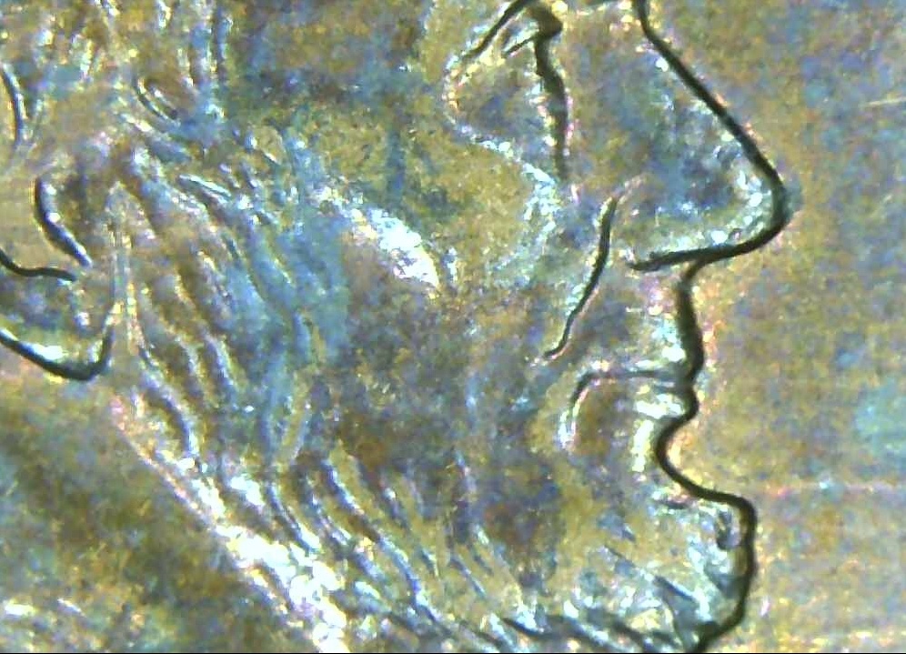 Please-Grade-This-1999-D-Penny
