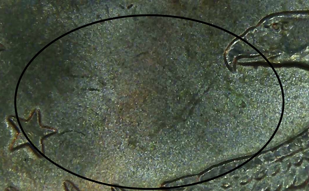 2000-P-Sacajawea-Coin-Possible-Errors