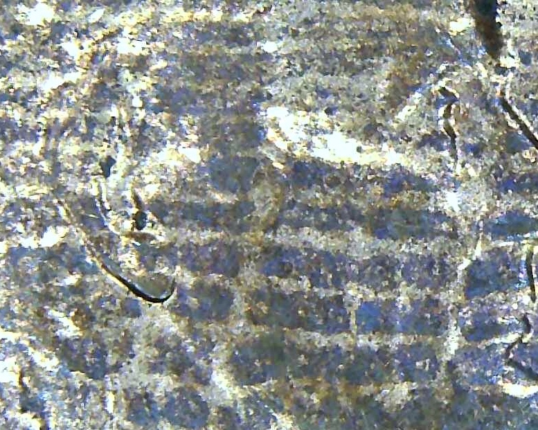 2012-D-Lincoln-Shield-Cent.-What-Is-This?