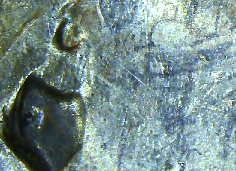 1956-P-Franklin-Half.-DDO?ddr