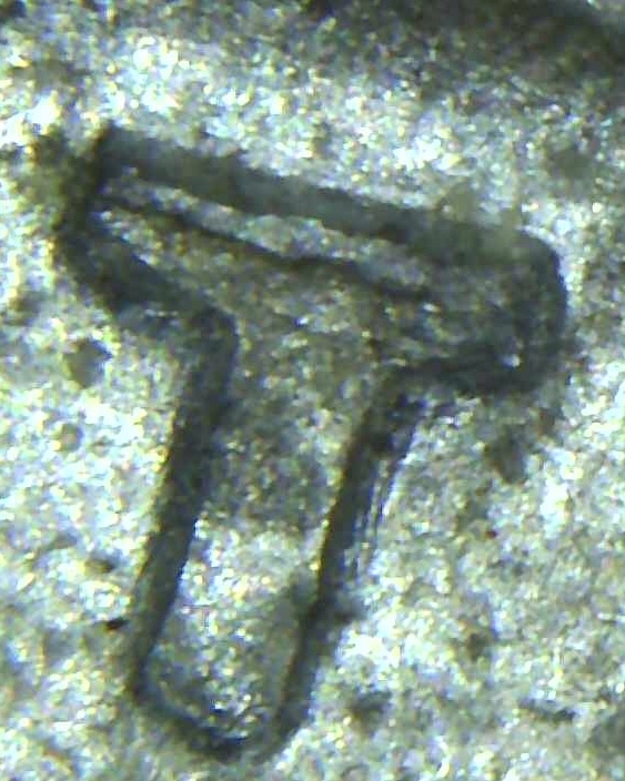 1943-Steel-Cent-Found-In-Wild.-Doubling-And-Die-Crack?