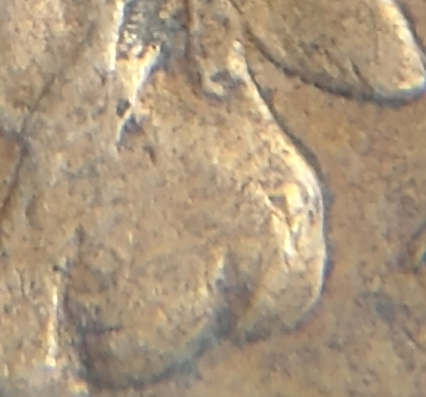 This-Looks-Like-The-DDO-1909-Indian-Head