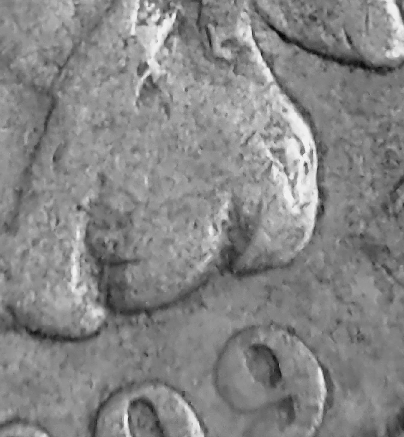 This-Looks-Like-The-DDO-1909-Indian-Head