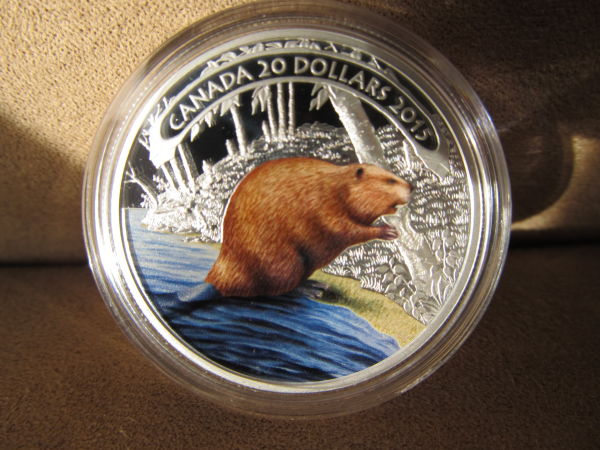 1-Oz.-Beaver-At-Work-Coin