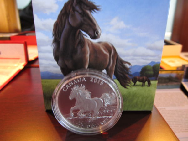 $100-For-$100-The-Canadian-Horse