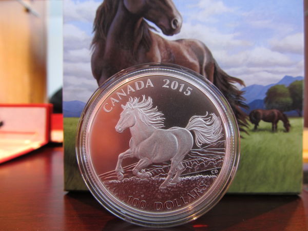 $100-For-$100-The-Canadian-Horse