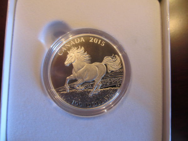 $100-For-$100-The-Canadian-Horse