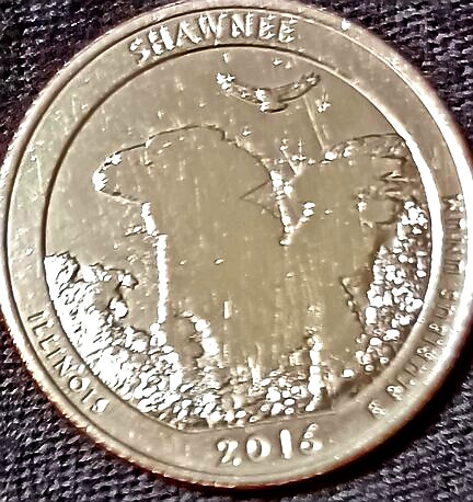 2016-Shawnee-D-Quarter-Pidt?-&-Missing-Reverse-Detail
