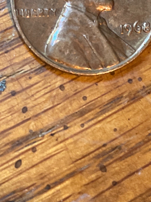 I-Recently-Saw-A-Guy-Ask-About-A-1968-Penny-Where-The-8-Is-Shaped-Like-A-B