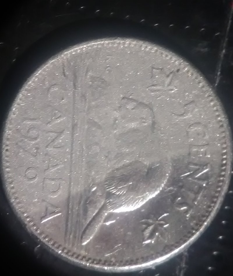 Need-Help-Appraising-My-1979-Canadian-Nickel.
