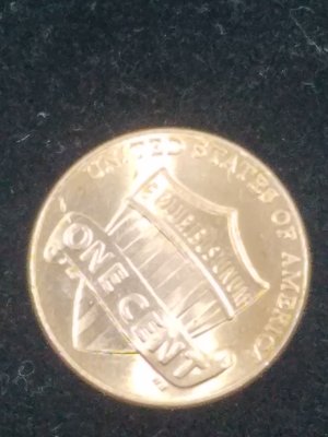 2019-DD--Or-MD?-D-Lincoln-Still-Learning-Thanks