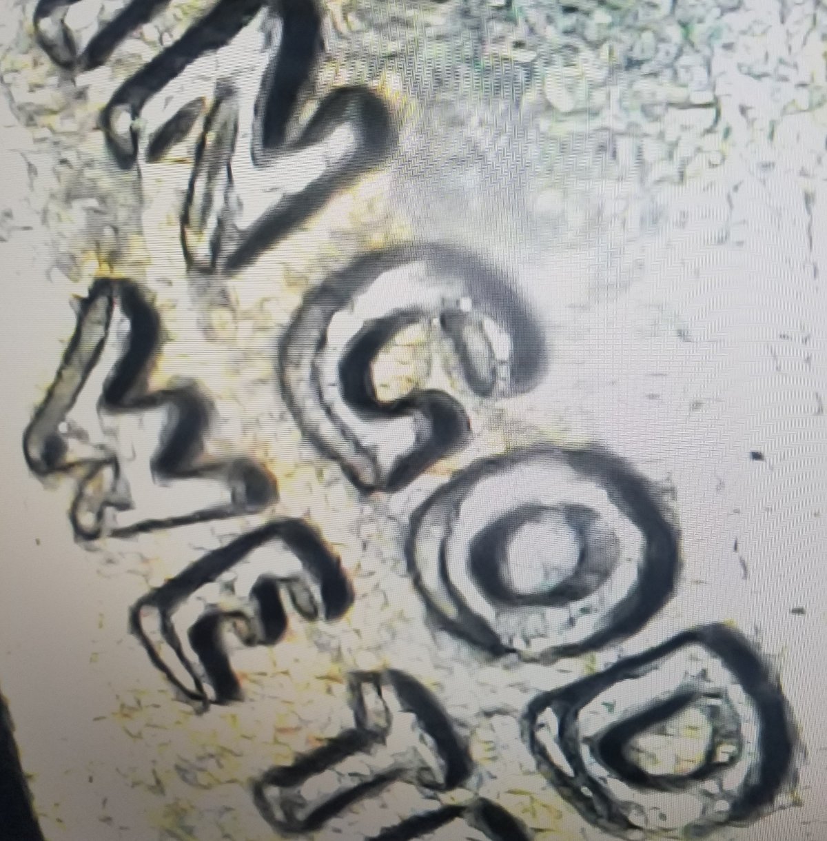 1-More,-2013-D-Dime-DDO/Maybe-Der-Too