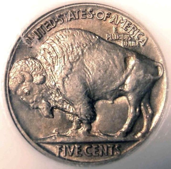 Buffalo-Nickel:--MS-Or-Matte-Proof?