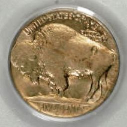 1925-Buffalo-Nickel