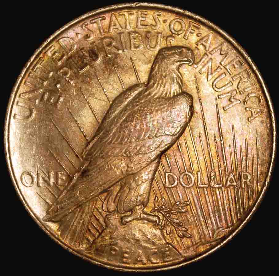 Natural-Toning-On-Peace-Dollar