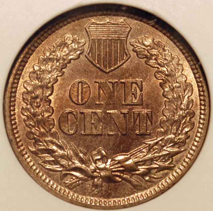 51-Days-Of-Indian-Head-Cents!-Here-We-Go!