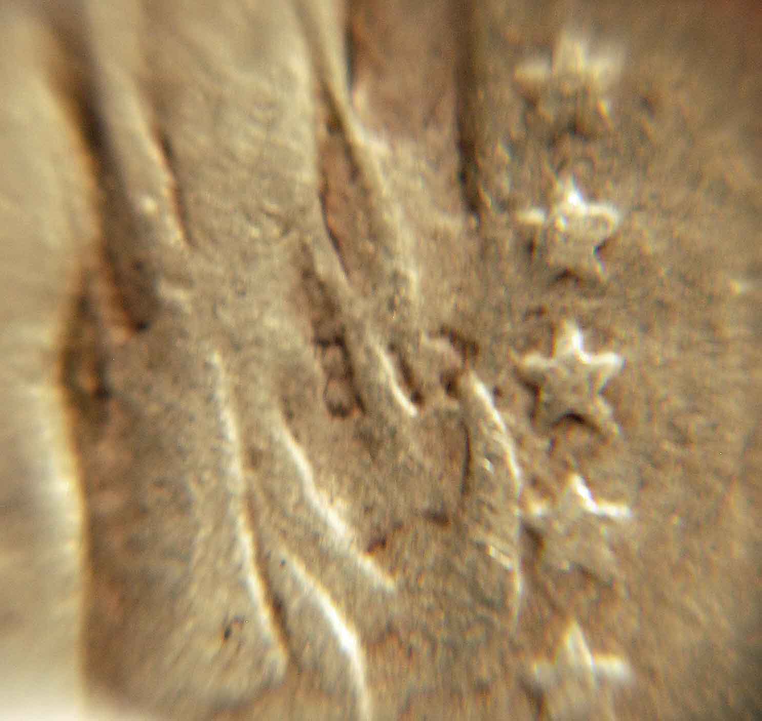 Possible-1919-S-SLQ?