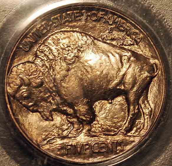 The-23-Days-Of-Buffalo-Nickels-!!!