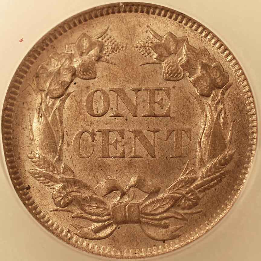 New-Flying-Eagle-Cent-For-My-Type-Set:--Grade-Opinions?