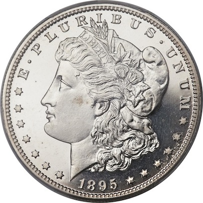 1895-No-Mint-Mark,-Opinions-Please