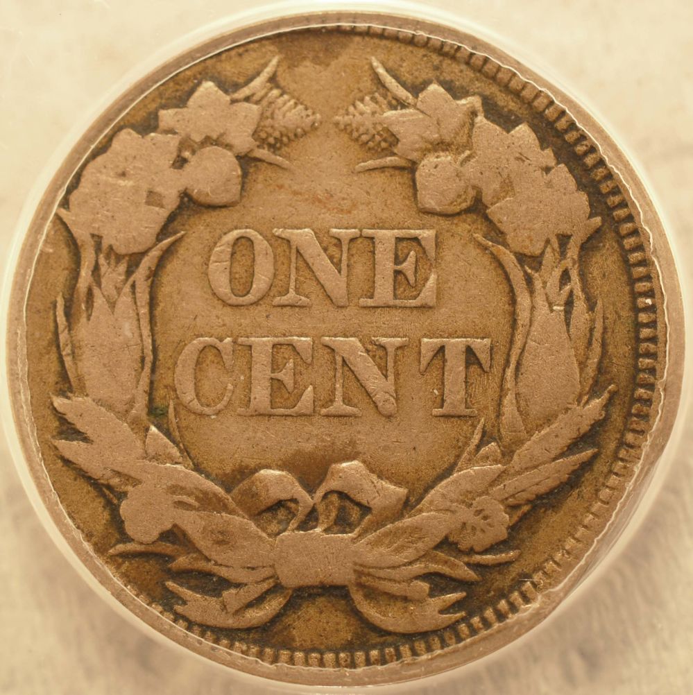 1858-Flying-Eagle-Cent-~-You-Vs-ANACS