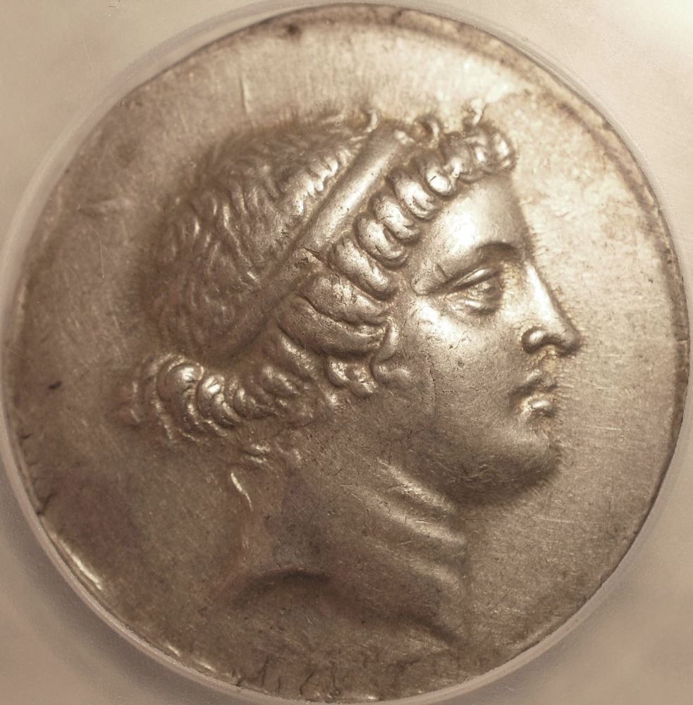 Post-Your-Coins-With-Horses