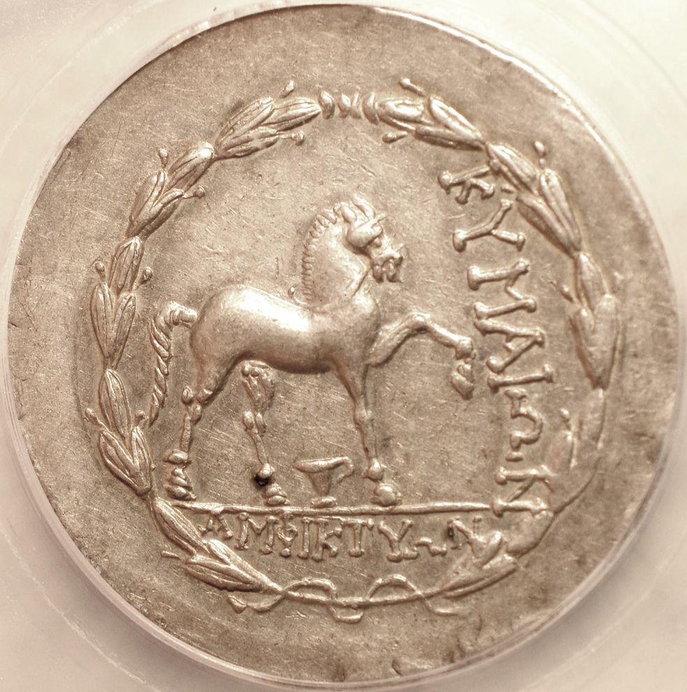 Post-Your-Coins-With-Horses