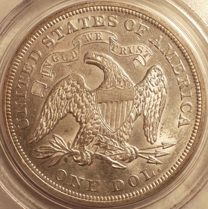 1873-Seated-Dollar:--How-Does-She-Grade?
