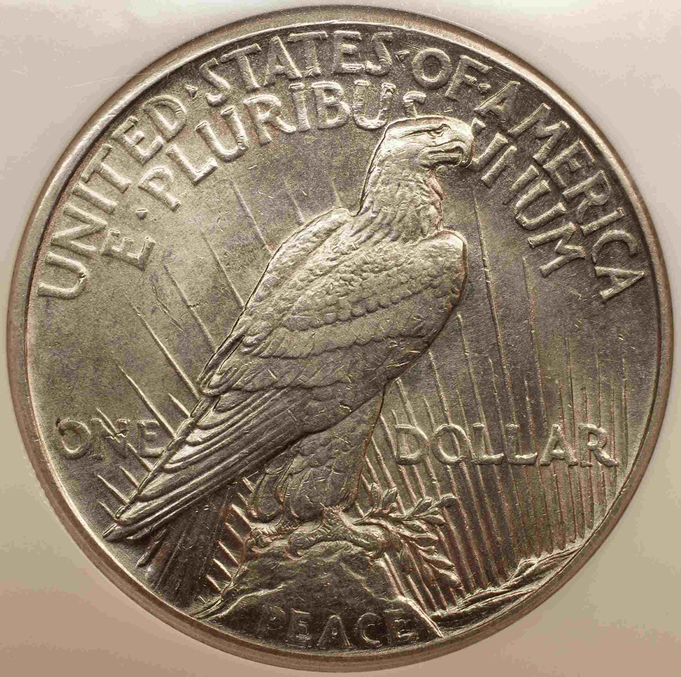 1921-Peace-Dollar,-Purchased-Raw,-Slabbed-By-NGC