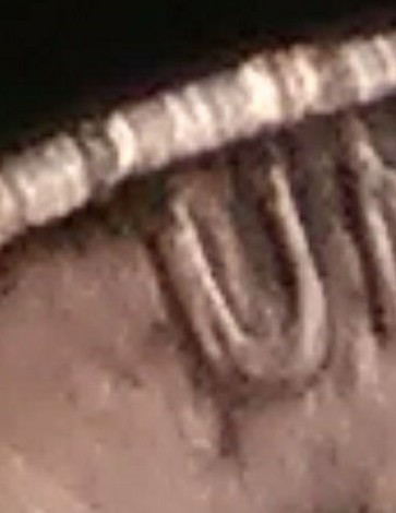 1991-D-LMC-Doubled-Die-Reverse?