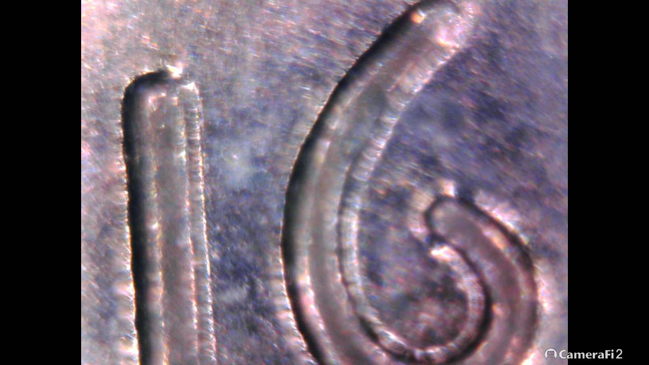 Do-Any-Of-These-Cents-Show-Doubling