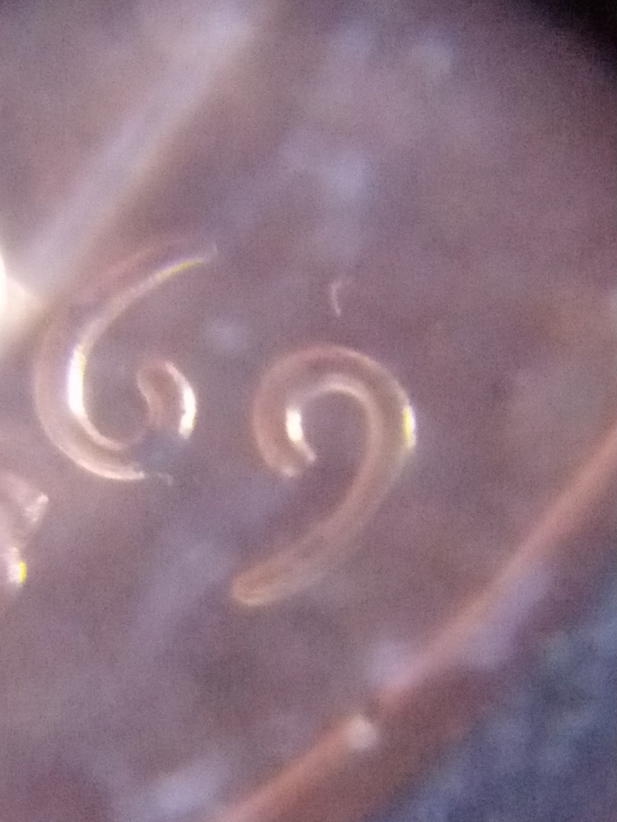 Just-Curious-About-This-Doubling-1969-S-Proof-LMC