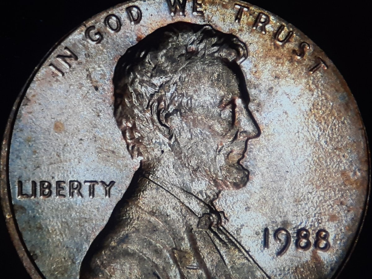 Help-Identifying-A-1988-P-LMC-Double-Ear-1-D0-010
