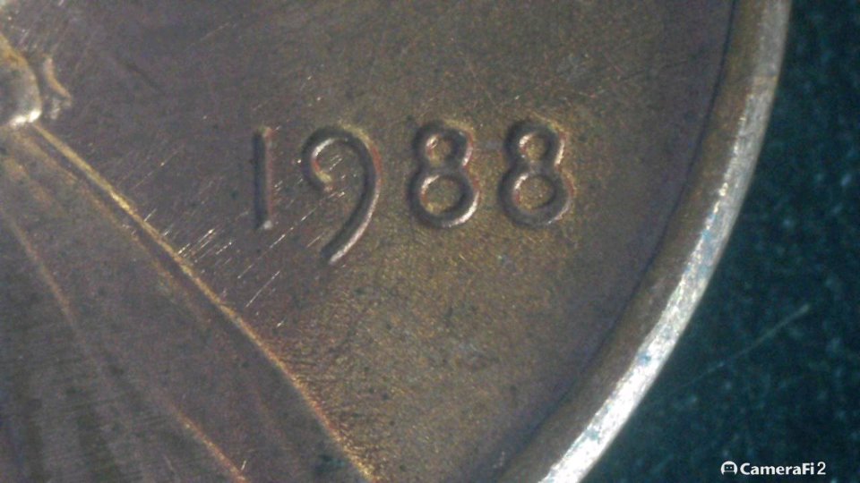 1988-LMC-1-DO-010-Double-Ear-Maybe?