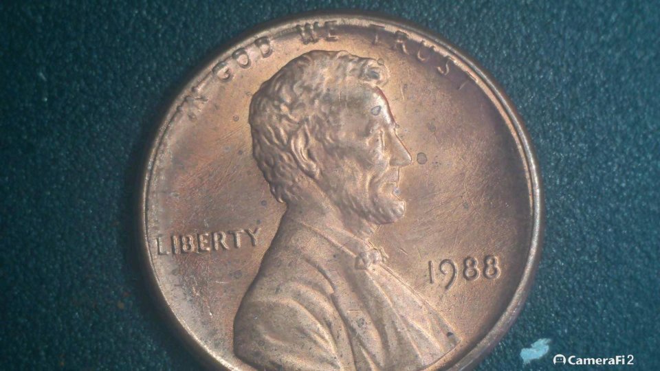 1988-LMC-1-DO-010-Double-Ear-Maybe?