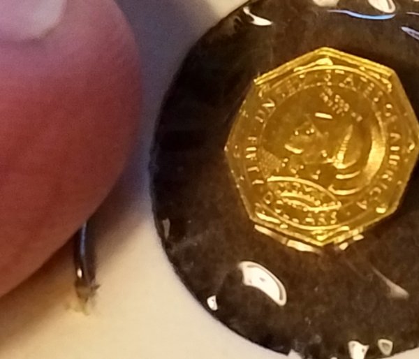 New-To-Forum---Need-Help-With-Columbia-Mint-24k-Gold-Miniature-Pan-Pacific