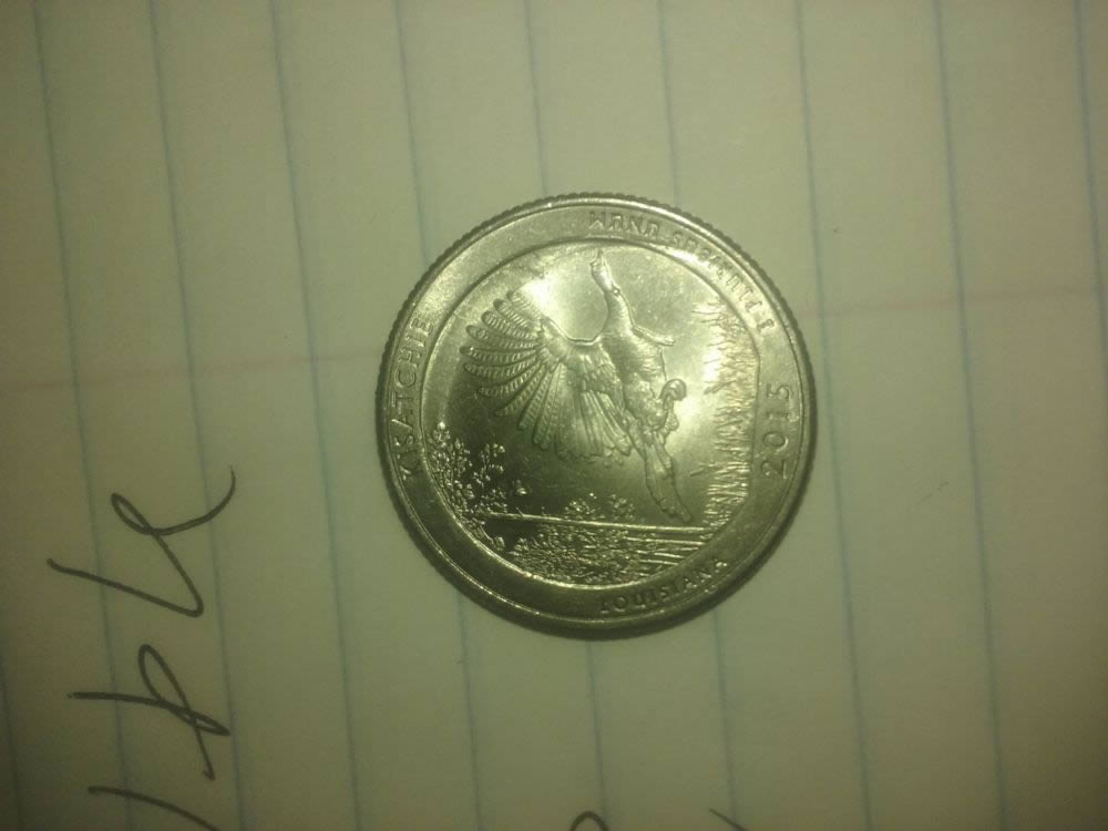 2015-Quater-I-Have-Found-This-Coins-On-My-Coin-Roll-Hunt