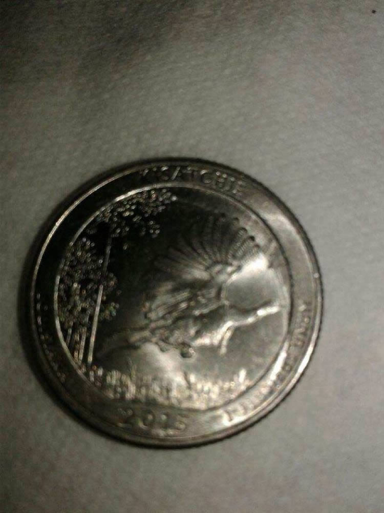 2015-Quater-I-Have-Found-This-Coins-On-My-Coin-Roll-Hunt