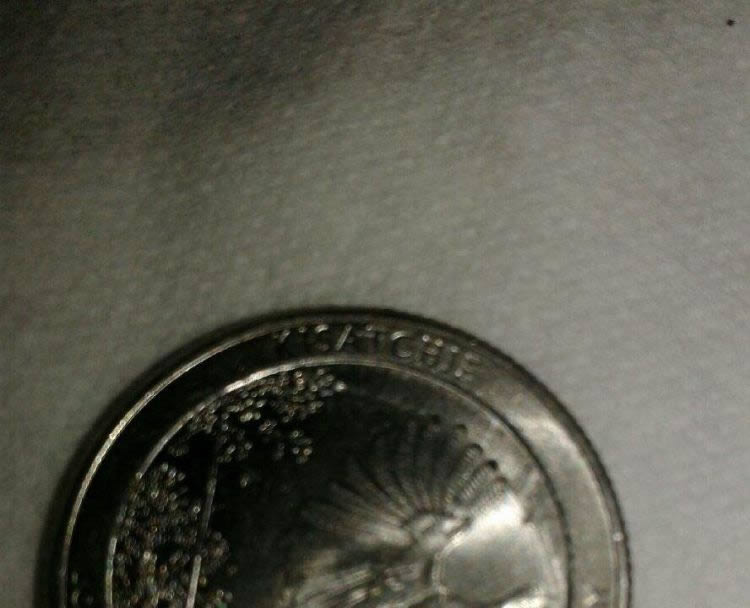 2015-Quater-I-Have-Found-This-Coins-On-My-Coin-Roll-Hunt
