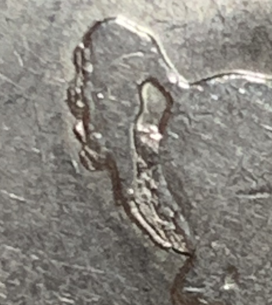2007-Wyoming-Pooping-Bronco?