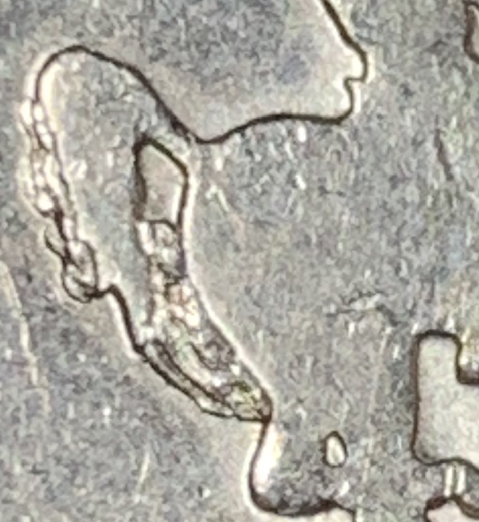 2007-Wyoming-Pooping-Bronco?