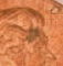 2008-Error-Nickel-On-Penny