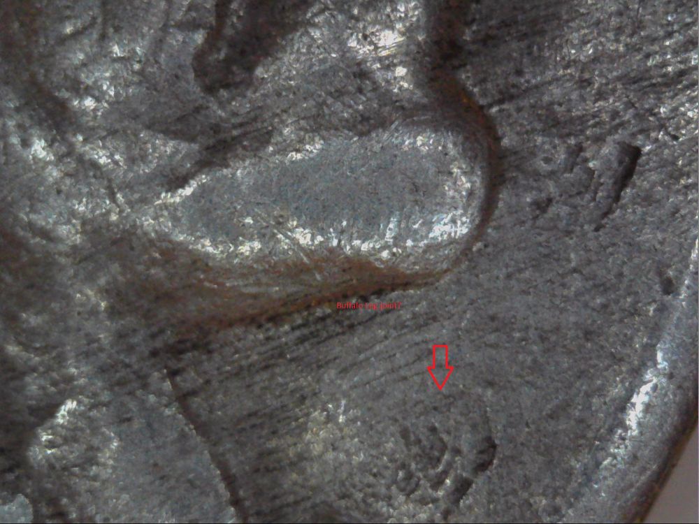 Mad-&-Clash-Experts,-Help!-Does-This-36-Buffalo-Look-Clashed?