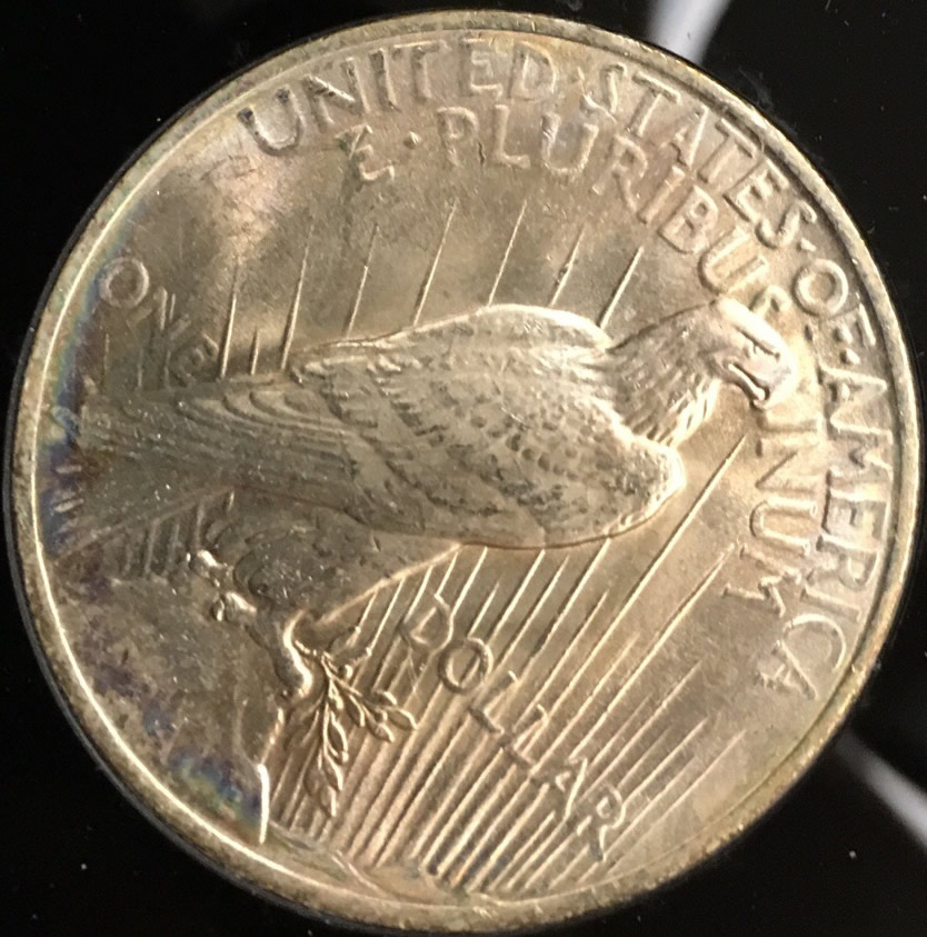 Picked-Up-X2-1923-Peace-Dollars-And-X1-1883-Morgan---Your-Thoughts?