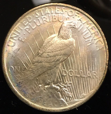 Picked-Up-X2-1923-Peace-Dollars-And-X1-1883-Morgan---Your-Thoughts?