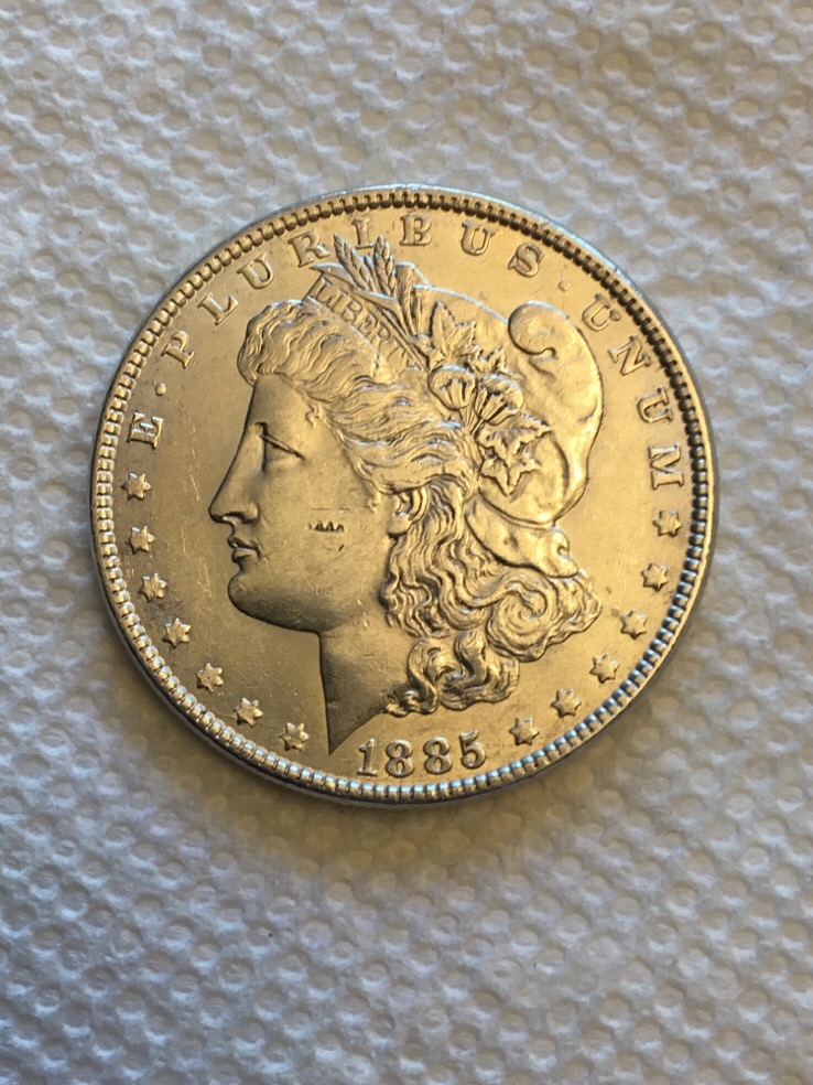 1885-Morgan-Dollar-Error?
