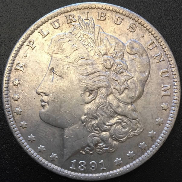 1891-Morgan-Dollar-Help-Grade