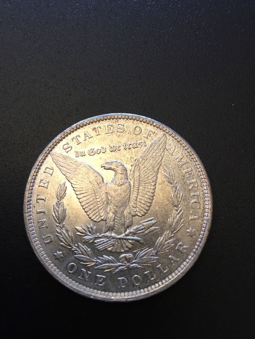 1891-Morgan-Dollar-Help-Grade
