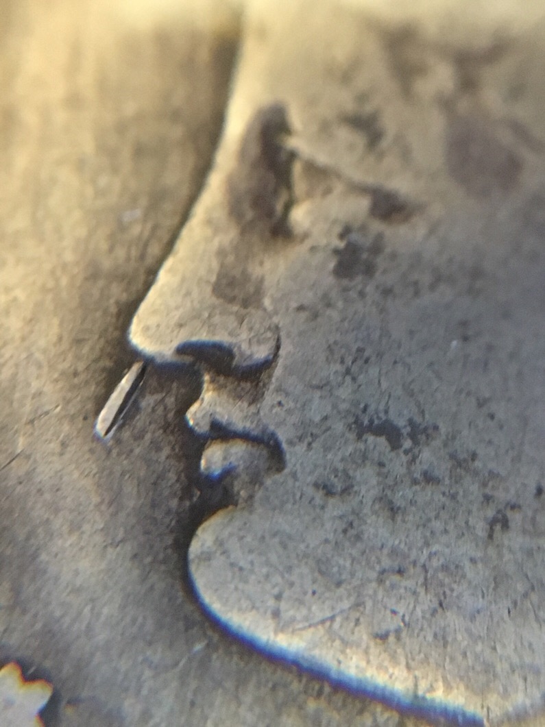 1891-O-Morgan-Dollar-Booger?